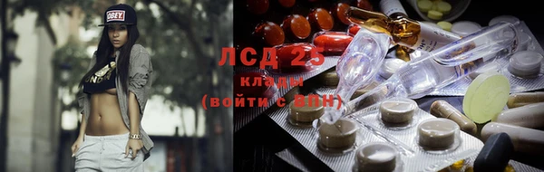 прущие крисы Алексеевка