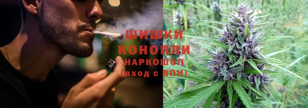 эйфоретик Алзамай