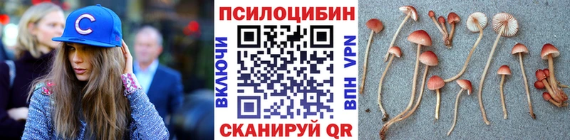 kraken вход  Евпатория  Псилоцибиновые грибы MAGIC MUSHROOMS 
